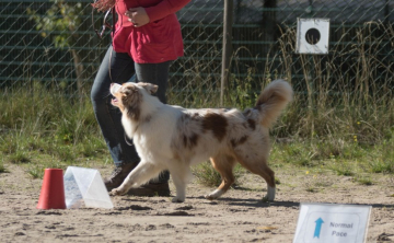 150927_Wald-1-von-8-825x510-1